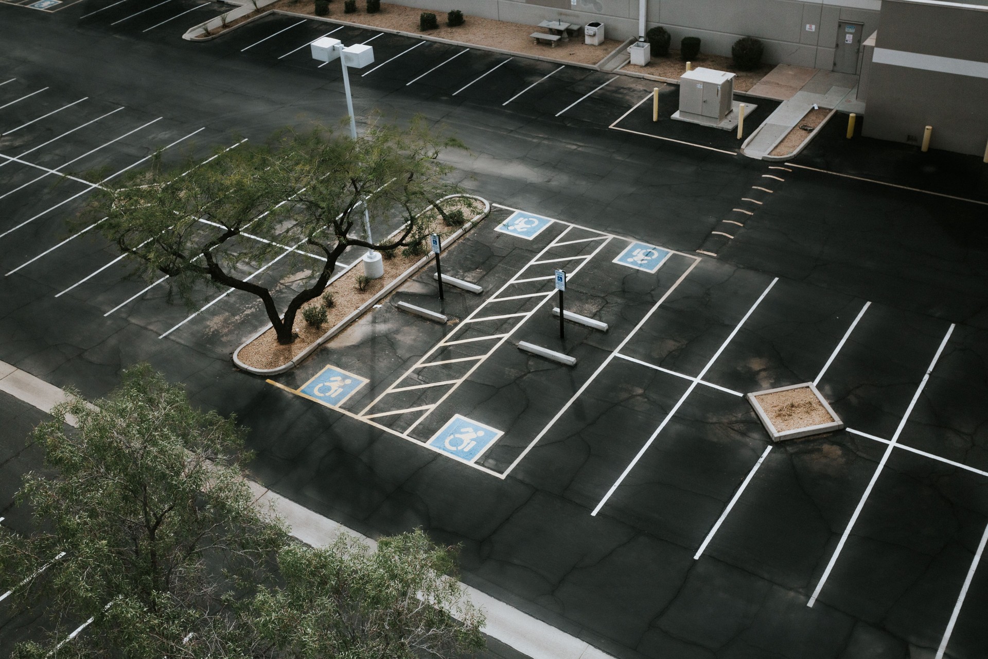 Fresh painted asphalt